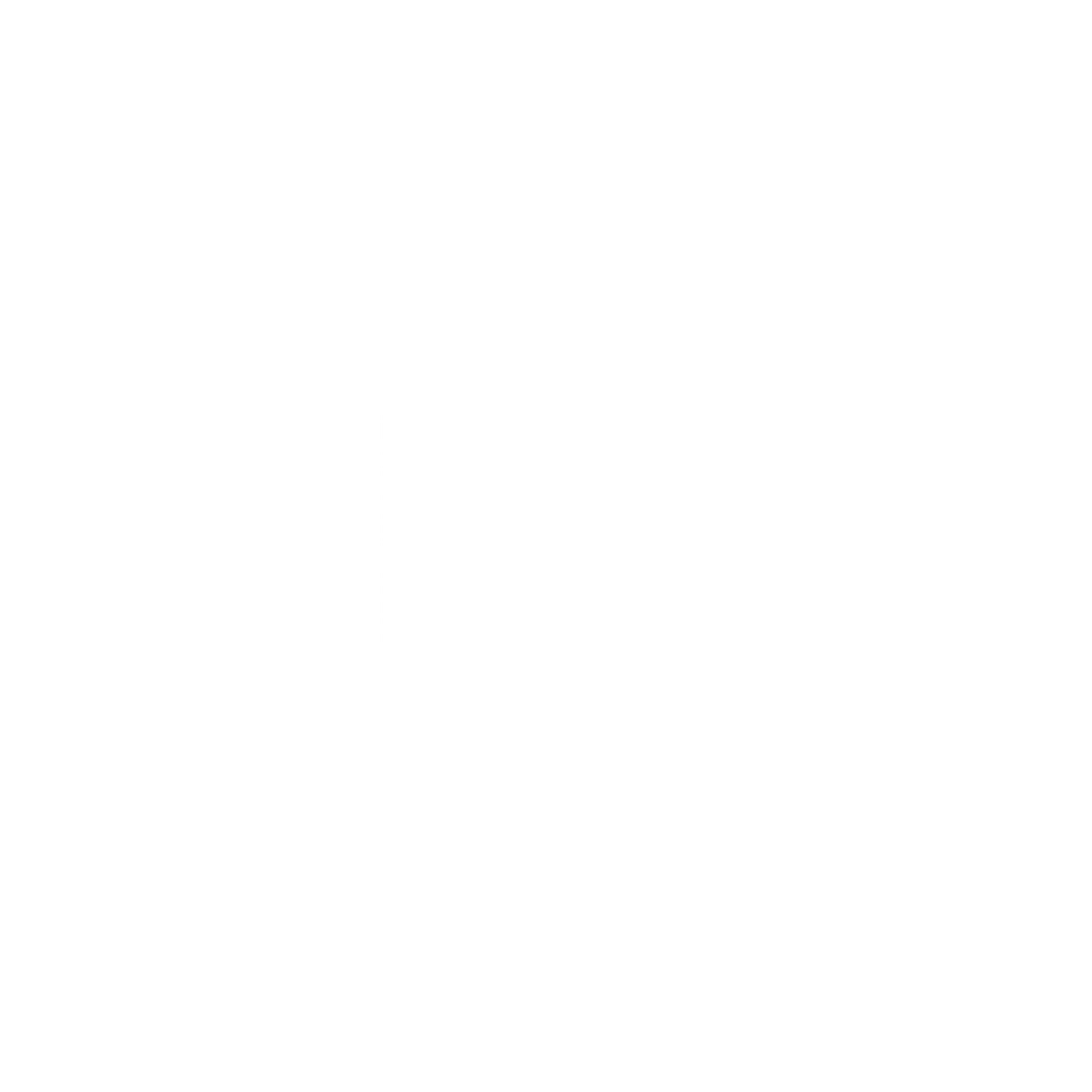 NepoFlix Logo